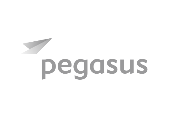 Pegasus