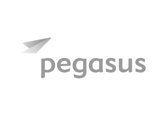 part-pegasus-logo part-pegasus-logo